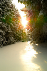 Sun and Snow