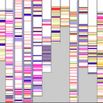DelftSWA twitter account